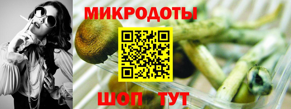 Тверь  Псилоцибиновые грибы ЛСД  Вход с VPN 